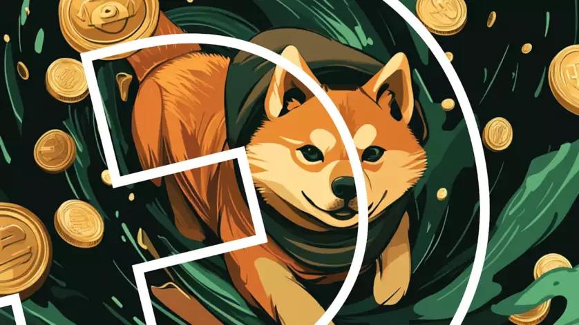 Dogecoin rallies on Elon Musk's praise, while altcoins may promise higher returns in 2025