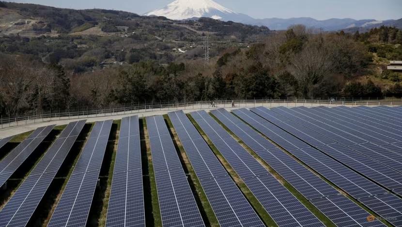 Japan's Renewable Energy Future