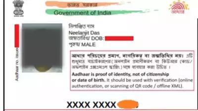 What is masked Aadhaar? Know how to download, features, usage and other details