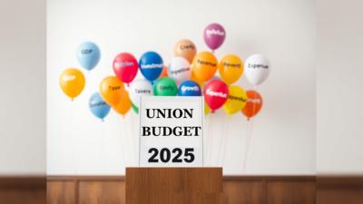 Personal tax reforms, raised exemptions and more expected in 2025 budget: EY