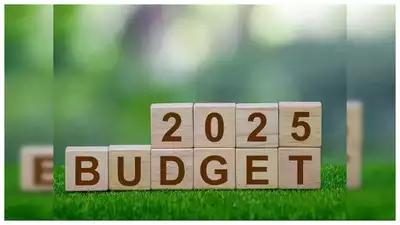 Budget 2025: Travel and tourism industry experts share key expectations