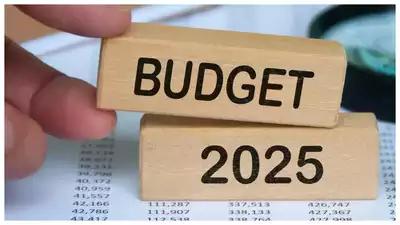 Budget 2025: Experts urge government to enhance travel and tourism growth in India