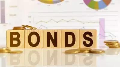 Union Budget 2025: Bonds could bloom on govt