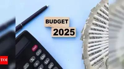 'Trust agenda reinstated in Budget, to push growth'